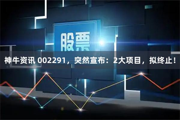 神牛资讯 002291，突然宣布：2大项目，拟终止！
