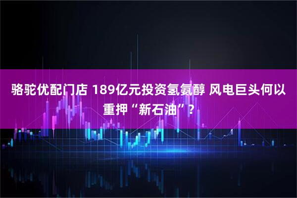 骆驼优配门店 189亿元投资氢氨醇 风电巨头何以重押“新石油”？