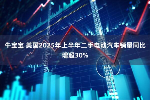 牛宝宝 美国2025年上半年二手电动汽车销量同比增超30%