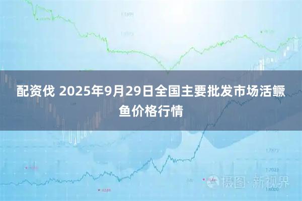 配资伐 2025年9月29日全国主要批发市场活鳜鱼价格行情