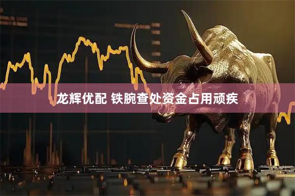 龙辉优配 铁腕查处资金占用顽疾